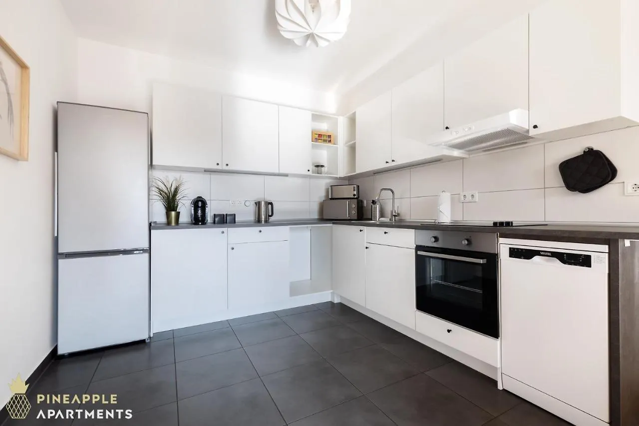 NEW! Pineapple Apartments Dresden Zwinger II